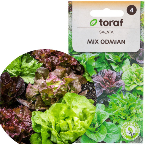W6595 SALATMISCHUNG SORTEN SALATSAMEN KNACKIGE BUTTERMISCHUNG 1G