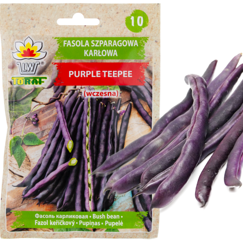 W6991 ZWERGBOHNE LILA TEEPEE GEMÜSESAMEN 30G