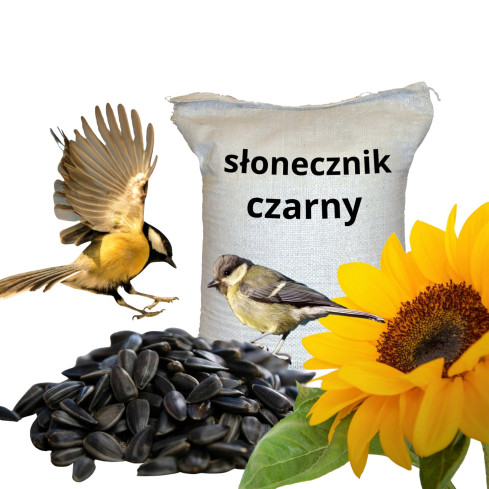 TUR5 Schwarz Sonnenblumenkerne Futtermischung für Vögel im Winter 1 kg