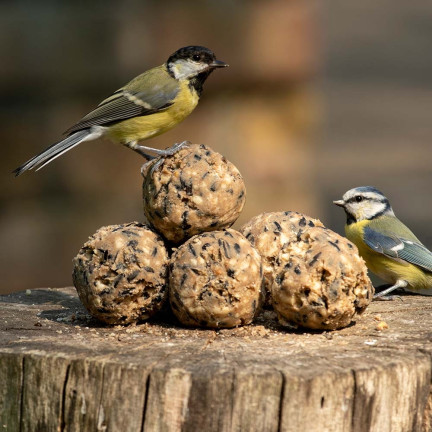 Winterkugeln für Wildvögel, Futter, Samen, Getreide, Energiequelle für den Winter, für Futterhäuschen, 4tlg.