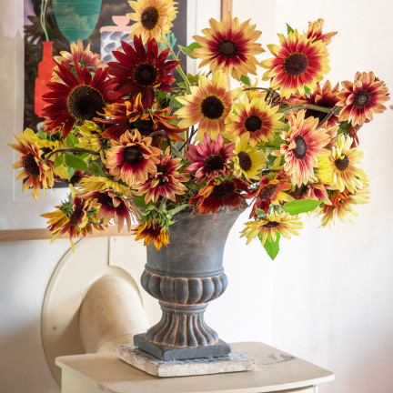 R4232 ZIERSONNENBLUMENMISCHUNG MULTISTEM-SAATGUT 2G EINJÄHRIGE TRAUBENPFLANZE