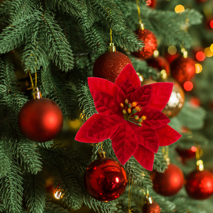 CV37274  Weihnachtssterne (Poinsettien) auf Stielen, 4 Stück – Weihnachtsdekorationen aus Velours