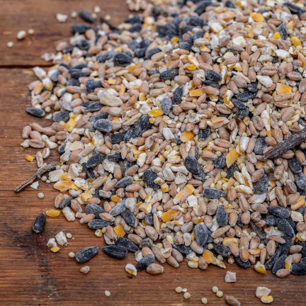 Mischfutter für Wildvögel, Ganzjahresfutter, Getreidekörner, Turdus 1 kg