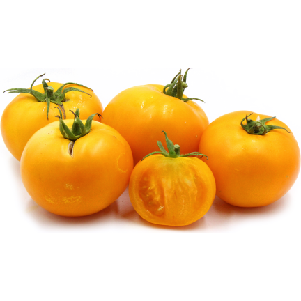 W1265 GEMAHLENE TOMATE TALL YELLOWSTONE SAMEN TOMATE SAFTIG GROSS 0.3G