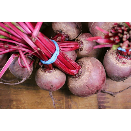 W0012 ROTE BETE KUGEL 2 10G ROTE BETE SAMEN