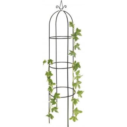 TG60185 GARTENBLUME PERGOLA Rosen 190CM OBELISK