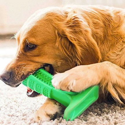 TG63396 ZAHNBÜRSTE, HUNDESPIELZEUG
