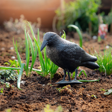 TG60297 GROSSE KRÄHE VOGEL ABSCHRECKUNG TAUBEN STARE