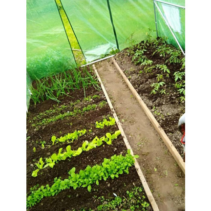 TUN5569 GARTENDUNEL 3x2m GARTENDUNEL 6m2 WEISS