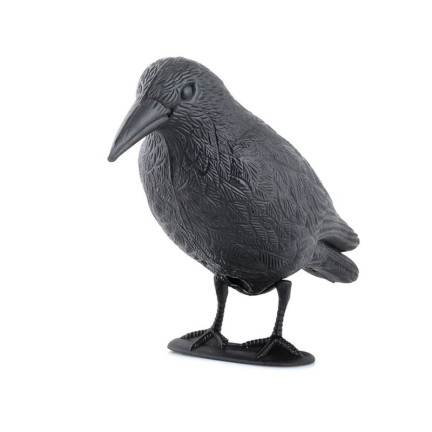 AP8 GROSSE KRÄHE VOGEL ABSCHRECKUNG TAUBEN STARE