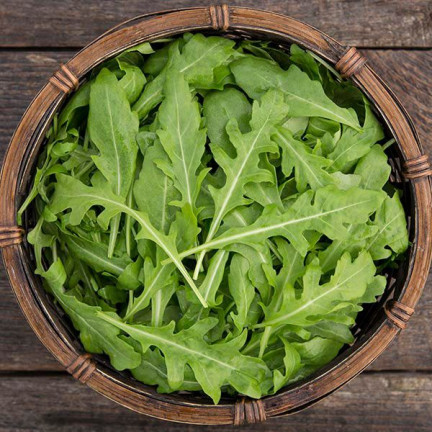 W1255 WILDWACHSENDE RUCOLA-SAMEN GEMÜSESALAT WÜRZIG 1G