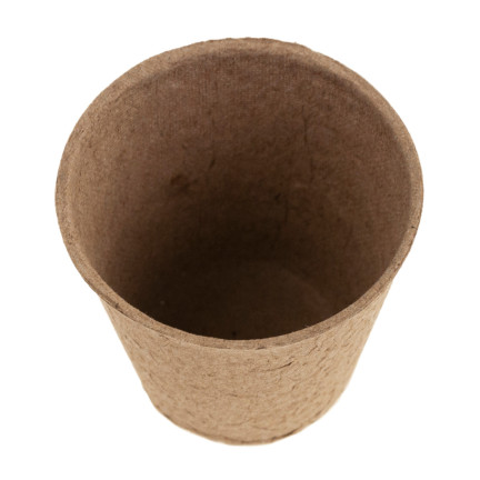201277 BIODEGRAD PLANT PACKS 6 cm 60 Stk.