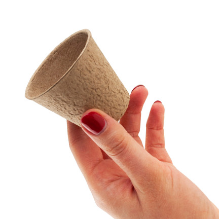 201277 BIODEGRAD PLANT PACKS 6 cm 60 Stk.