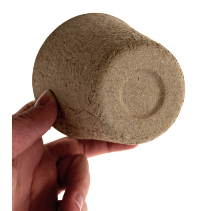 201278 TORF TÖPFE P8 BIOLOGISCH ABBAUBAR SÄMLINGE 8 CM 24 STÜCK