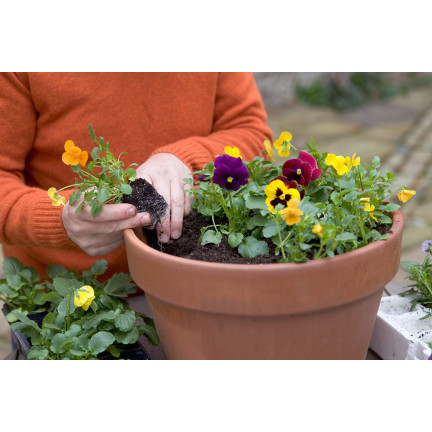 BIO6 UNIVERSAL ERDE 10L FÜR GRÜNPFLANZEN BLUMEN BIOVITA