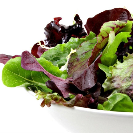 W6595 SALATMISCHUNG SORTEN SALATSAMEN KNACKIGE BUTTERMISCHUNG 1G
