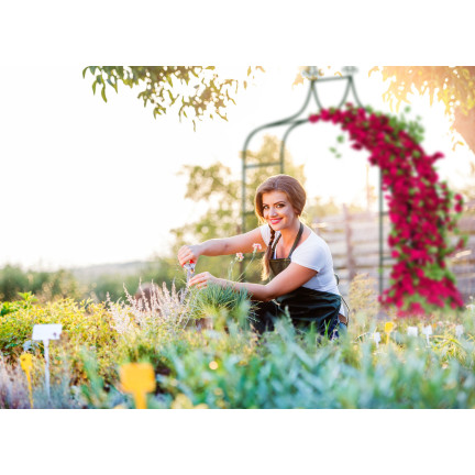 PERG-N6078 Gartenbogen Metallbogen für Rosen Blumen Zweige 240cm