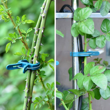 TG67386 PFLANZENBEFESTIGUNGSKLAMMERN GARTENKLAMMERN 50PCS/KPL