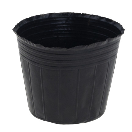 TG70299 Anzucht- und Pflanztöpfe 6 × 6 cm, 10 Stück