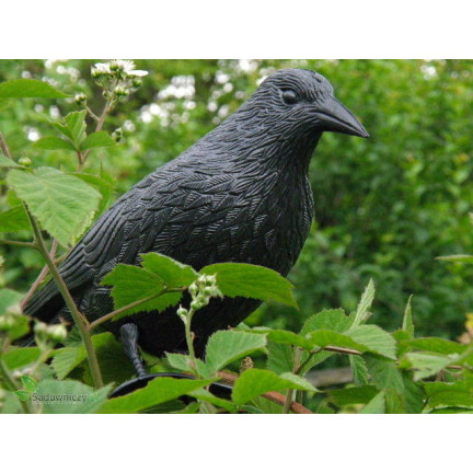 AP8 GROSSE KRÄHE VOGEL ABSCHRECKUNG TAUBEN STARE