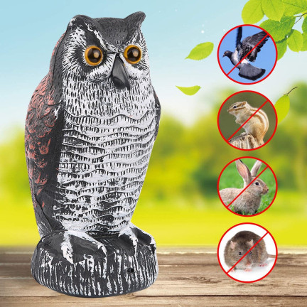 TG66894 VERSCHIEDENE VERSCHIEDENE UMFASSUNGSFIGUR für den Gartenvogel DRAGED MAKIETA