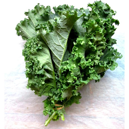 W1066 RED CRUISE SEEDS MEDIUM-RESISTANT HEALTHY 1g