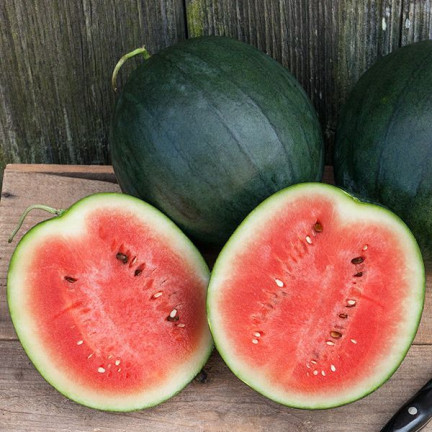 W1001 WASSERMELONE SAMEN ZUCKER BABY CAVON SÜSS SAFTIGES FRUCHTFLEISCH FÜR DEN ANBAU 1G