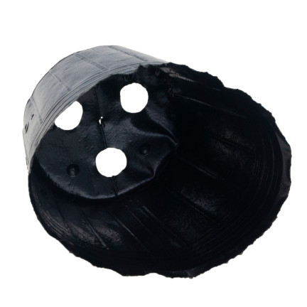 TG70306 Anzucht-Töpfe für Setzlinge, Aussaat, 9 x 7,5, 10 Stück/Set