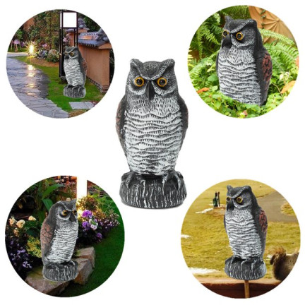 TG66894 VERSCHIEDENE VERSCHIEDENE UMFASSUNGSFIGUR für den Gartenvogel DRAGED MAKIETA
