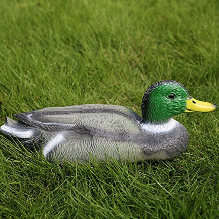 TG66893 ENTE ENTE SCHWIMMENDE GARTENDEKORATION TEICH