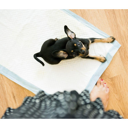 IM028 HYGIENEMATTEN FÜR WELPEN HUND ZU LERNEN, PINKELN 50PCS. 33X45CM
