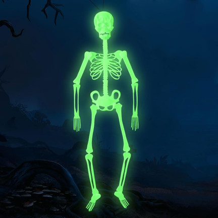 TG73003 HALLOWEEN SKELETT FLUO