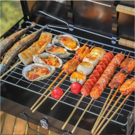 TG71414 TOURISM PORTABLE TOURISM FOLDING GRILL + Zubehör