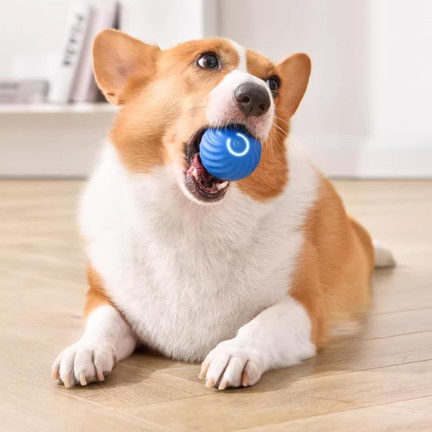 Tg80435 entkommen Ball Hund Katze führte interaktives Spielzeug für Haustier mit USB-Ladegerät