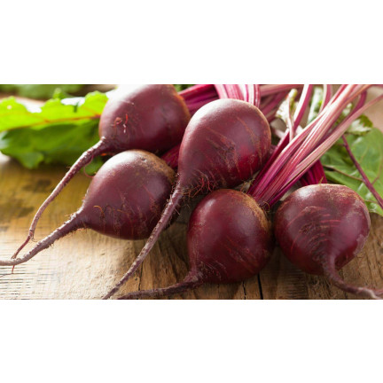W0012 ROTE BETE KUGEL 2 10G ROTE BETE SAMEN