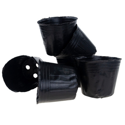 TG70306 Anzucht-Töpfe für Setzlinge, Aussaat, 9 x 7,5, 10 Stück/Set