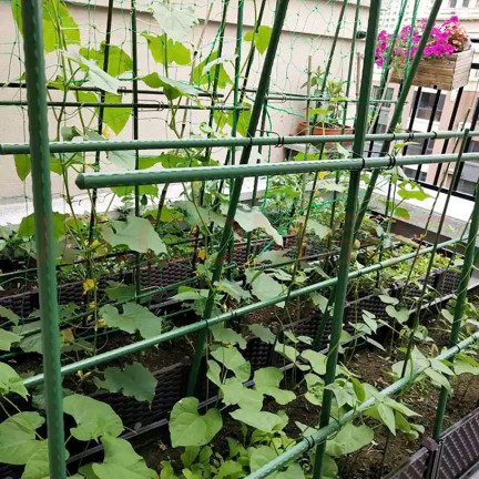Tomatenstäbe, Pflanzenstützen, Gartenstützen für Gurken, 40 Stück/Set, 8 mm x 80 cm