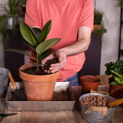 BIO38 Garten-Blählehm, Drainage, Substrat für Topfpflanzen und Blumen, 4 l, 8–16 mm