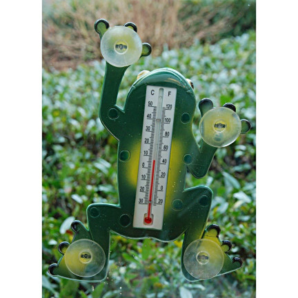 MAK5762 Frosch FACE-OFF THERMOMETER Saugnäpfe