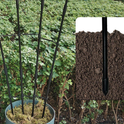 Fächerförmiges Gitter, Pflanzenstütze, für Blumentöpfe, Stützgitter, 2 Stück