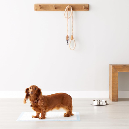 IM028 HYGIENEMATTEN FÜR WELPEN HUND ZU LERNEN, PINKELN 50PCS. 33X45CM