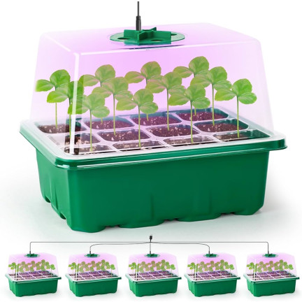 TG77615 Set aus 5 Mini-Setzlingsgewächshäusern mit LED-Beleuchtung, ideal für Keimung und Pflanzenwachstum, Startertrays