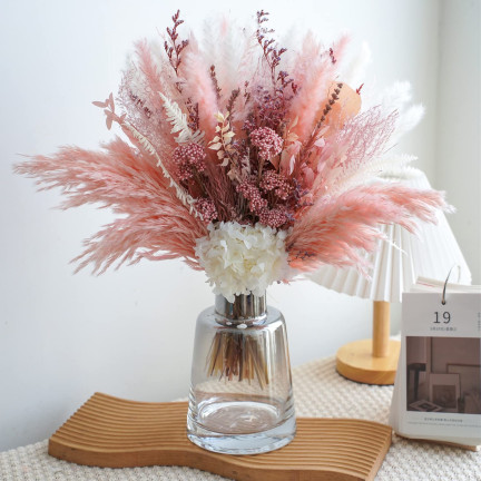 Rosa Pampasgras, Cortaderia selloana, Grassamen