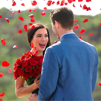 TG71326 KONFETTI ROSENBLÜTENBLÄTTER ROT SCHIESSEN ROHR FÜR HOCHZEIT VERLOBUNG VALENTINSTAG HOCHZEIT