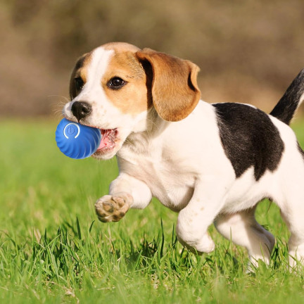 Tg80435 entkommen Ball Hund Katze führte interaktives Spielzeug für Haustier mit USB-Ladegerät
