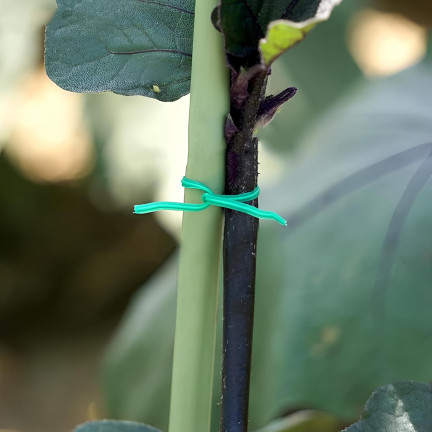 TG77623 Gartenbaudraht, Obstbaumschulseil 50m, Strumpfband