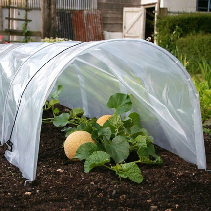 TG81356 Garten-Tunnel-Set vom Typ Cloche