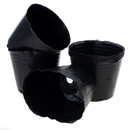 TG70306 Anzucht-Töpfe für Setzlinge, Aussaat, 9 x 7,5, 10 Stück/Set