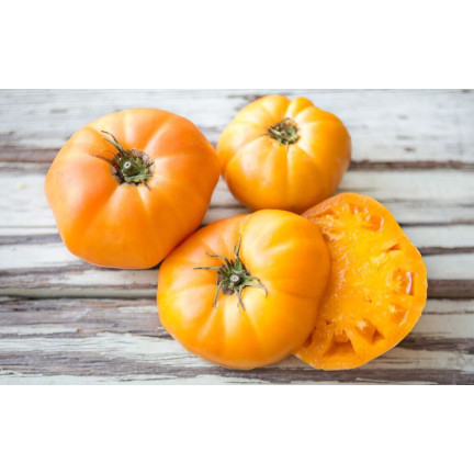 W1265 GEMAHLENE TOMATE TALL YELLOWSTONE SAMEN TOMATE SAFTIG GROSS 0.3G