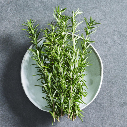 Z3028 ROSMARIN AROMATISCHE KRÄUTER SAMEN MEHRJÄHRIG 0.1G